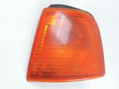 Front fender indicator light
