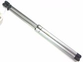 Tailgate/trunk strut/damper