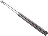 Tailgate/trunk strut/damper