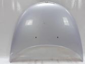 Engine bonnet/hood