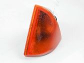 Front fender indicator light