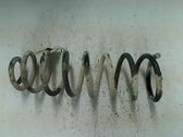 Rear coil spring