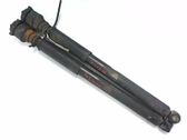 Rear shock absorber/damper