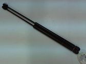 Tailgate/trunk strut/damper