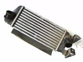 Intercooler radiator