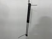 Tailgate/trunk strut/damper
