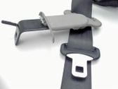 Rear seatbelt