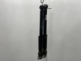 Rear shock absorber/damper