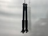 Rear shock absorber/damper