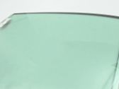 Rear door window glass
