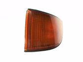 Front fender indicator light