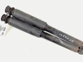 Rear shock absorber/damper