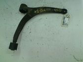 Front lower control arm/wishbone