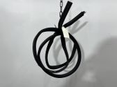 Trunk rubber seal (body)