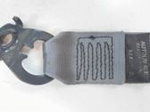 Rear seatbelt