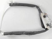 Roof airbag