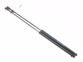 Tailgate/trunk strut/damper