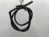 Rear door rubber seal (on body)