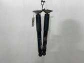 Rear shock absorber/damper