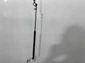 Tailgate/trunk strut/damper