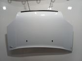 Engine bonnet/hood