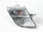 Front fender indicator light