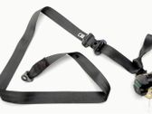 Rear seatbelt