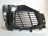 Front bumper lower grill