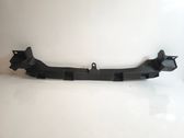 Radiator trim