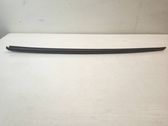 Windshield trim