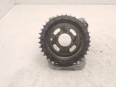 Timing chain sprocket