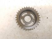 Timing chain sprocket