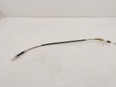 Rear door cable line