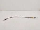 Rear door cable line
