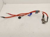 Positive cable (battery)