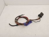 Other wiring loom