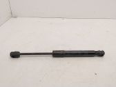 Front bonnet/hood damper/strut
