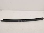 Rear door glass trim molding