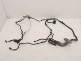 Rear door wiring loom