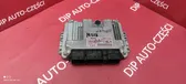 Engine control unit/module ECU