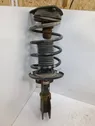 Front shock absorber with coil spring