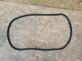 Front door rubber seal