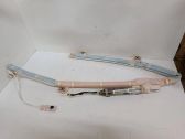 Roof airbag