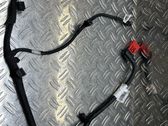 Other wiring loom