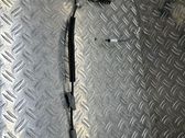 Cerradura de puerta trasera