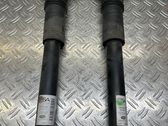 Stoßdämpfer hinten