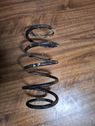 Front coil spring