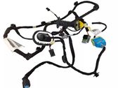 Rear door wiring loom