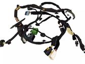 Front door wiring loom