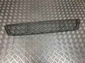 Front bumper lower grill